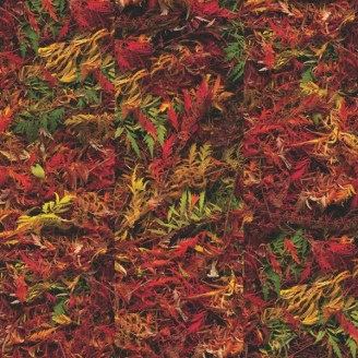 Коркова підлога Corkstyle Autumn Brake (Клейова) Коркова підлога Corkstyle Autumn Brake (Клейова)