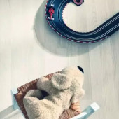 Вінілова підлога ALTA STEP Дуб Білий Класичний | SPC8809