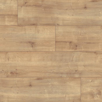Ламінат Wiparquet Дуб Берлінгтон | 53371 (41170) Ламінат Wiparquet Дуб Берлінгтон | 53371 (41170)