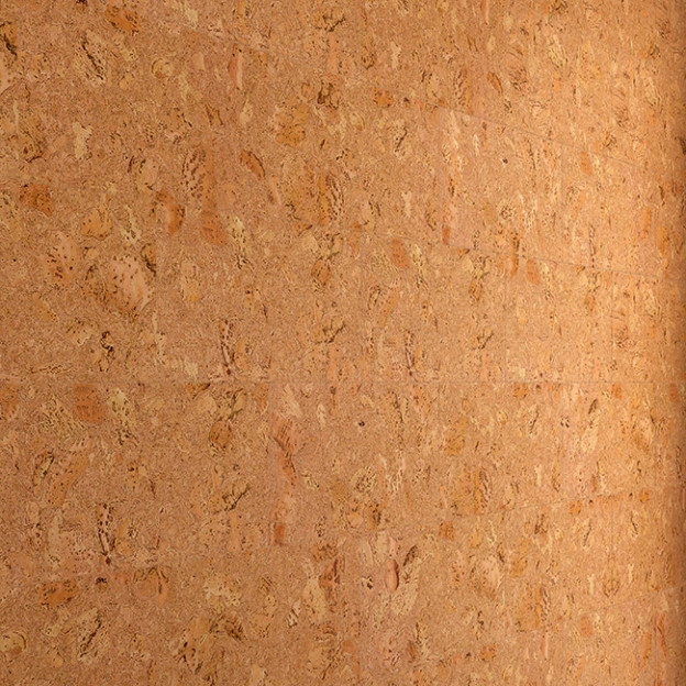 Настінний корок Amorim Tenerife Natural | RY43001