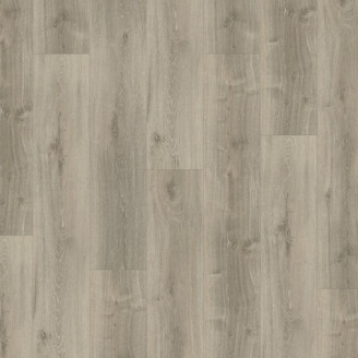Вінілова підлога Parador SPC Basic 5.3 Oak grey whitewash | 1743001 Вінілова підлога Parador SPC Basic 5.3 Oak grey whitewash | 1743001