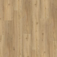 Вінілова підлога Parador SPC Basic 5.3 Oak Natural Brushed | 1743004 Вінілова підлога Parador SPC Basic 5.3 Oak Natural Brushed | 1743004