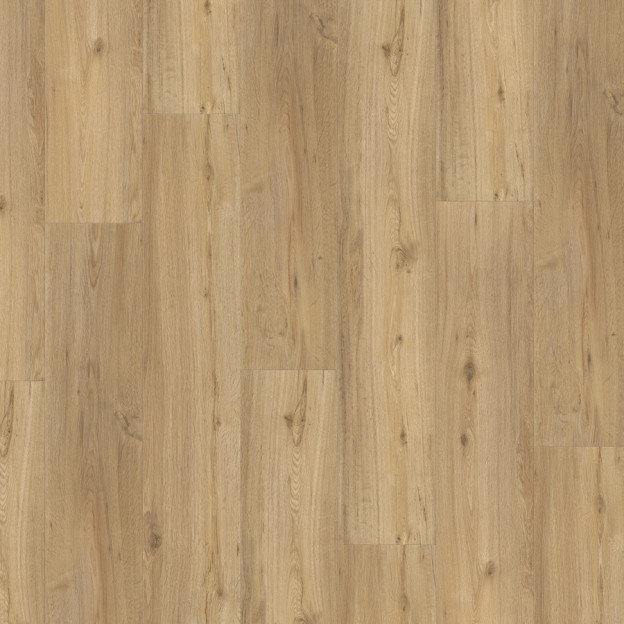 Вінілова підлога Parador SPC Basic 5.3 Oak Natural Brushed | 1743004 Вінілова підлога Parador SPC Basic 5.3 Oak Natural Brushed | 1743004