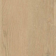 Вінілова підлога Wineo 400 DB Wood XS Plain Oak Beige клейовий | DB281WXS