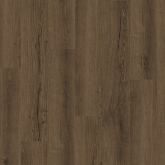 Вінілова підлога Parador SPC Basic 5.3 Дуб Cambridge smoked | 1748826 Вінілова підлога Parador SPC Basic 5.3 Дуб Cambridge smoked | 1748826