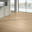 Вінілова підлога Parador SPC Basic 5.3 Дуб Oxford natural | 1748823 Вінілова підлога Parador SPC Basic 5.3 Дуб Oxford natural | 1748823