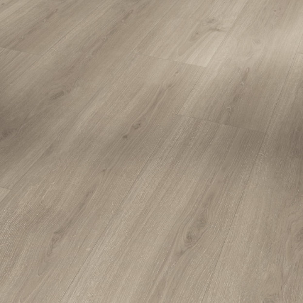 Вінілова підлога Parador SPC Basic 5.3 Дуб Regent grey | 1748827