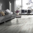 Ламінат Magic Floors Galaxy Plus V4 Памперо | GAPLV403660 Ламінат Magic Floors Galaxy Plus V4 Памперо | GAPLV403660