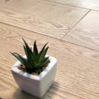 Ламинат Vitality Дуб Елегантный | 60542 Ламинат Vitality Дуб Елегантный | 60542