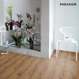 Ламінат Parador Basic 400 Дуб Хісторі 1х | 1593814 Ламінат Parador Basic 400 Дуб Хісторі 1х | 1593814