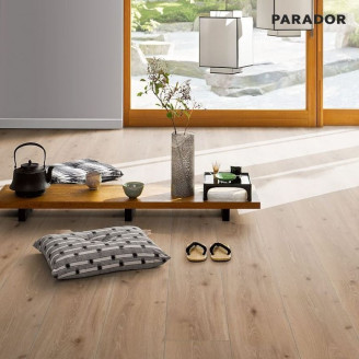 Ламинат Parador TrendTime 6 Дуб Кастелл мелованная 4v | 1371173 Ламинат Parador TrendTime 6 Дуб Кастелл мелованная 4v | 1371173