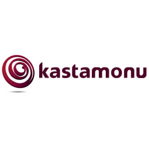Производитель ламината Kastamonu
